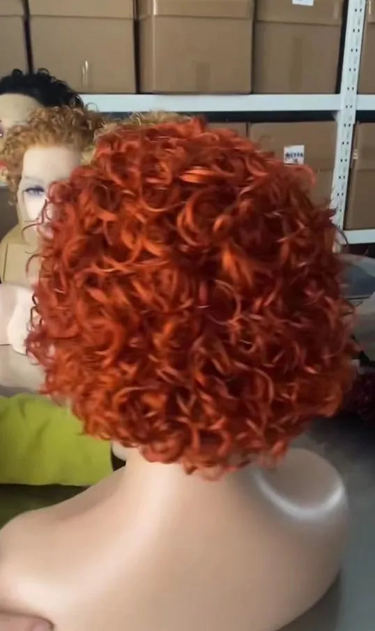 Pixie Cut Wig Human Hair Curly Bob Short Pixie Cut Lace Wig Bleached Knots Lace Frontal 13x4 Pixie Wig With Baby Hair
