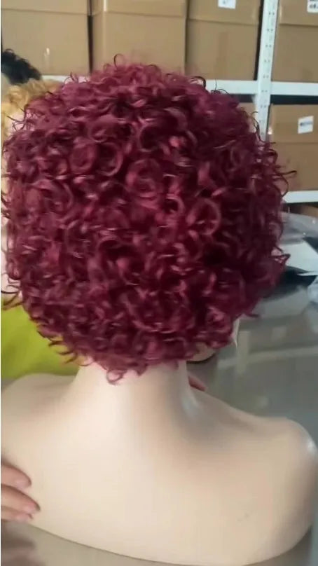 Pixie Cut Wig Human Hair Curly Bob Short Pixie Cut Lace Wig Bleached Knots Lace Frontal 13x4 Pixie Wig With Baby Hair