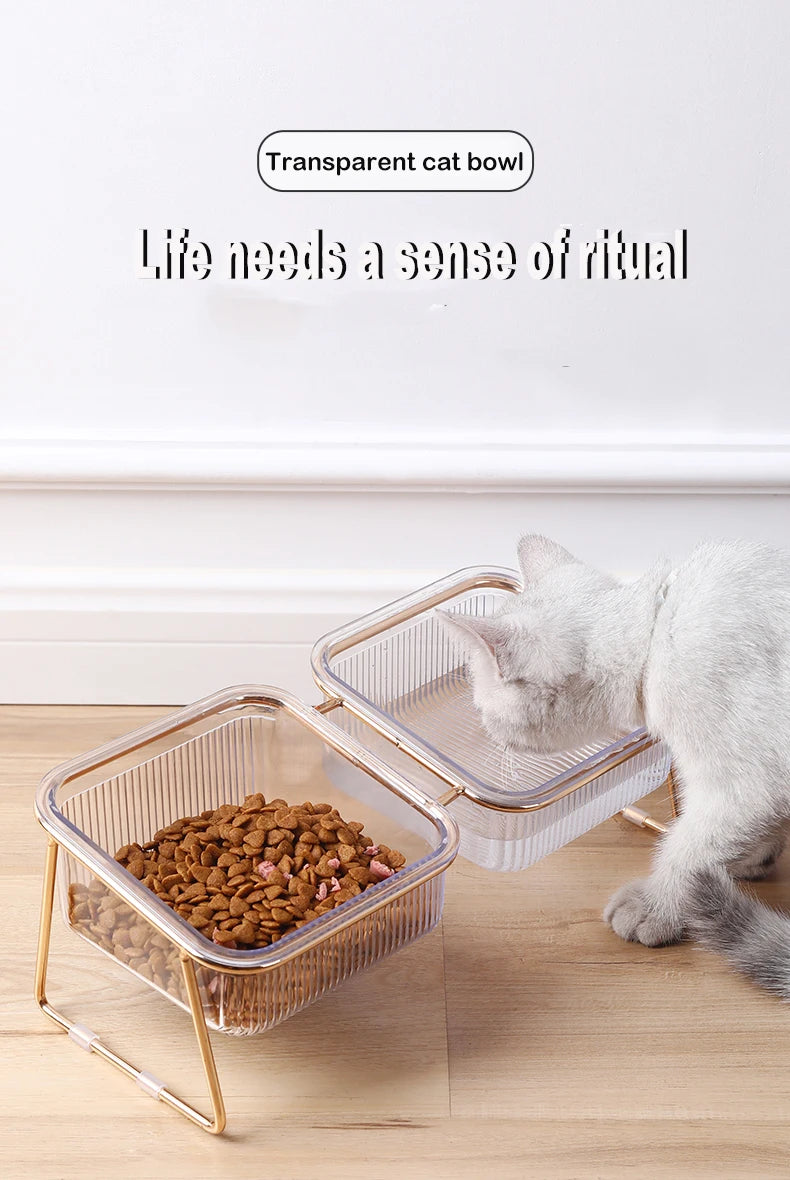 Pet Double Bowl Transparent High Foot Cat Bowl Drink water Cat Food With Golden Stand Raised Water Feeder Dog Bowl Supplies
