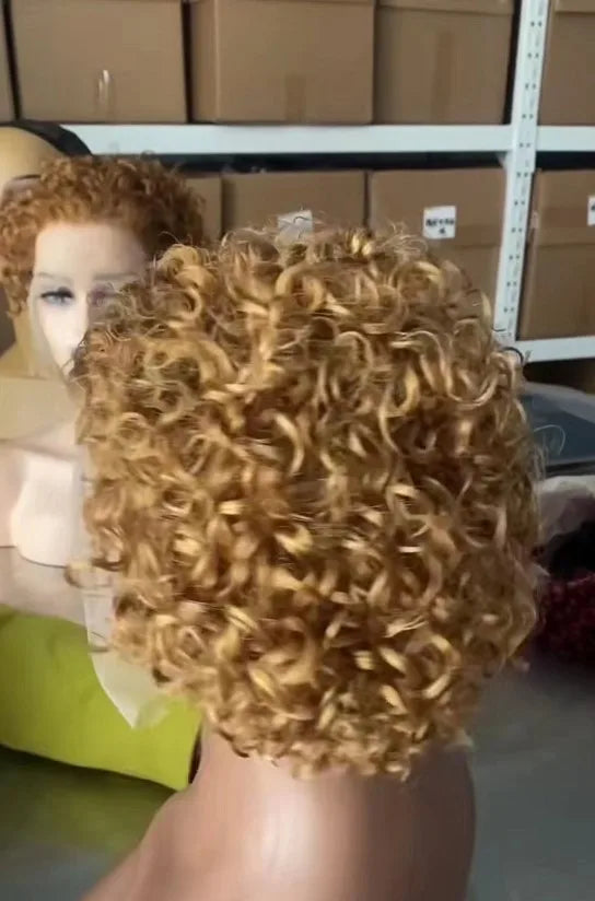 Pixie Cut Wig Human Hair Curly Bob Short Pixie Cut Lace Wig Bleached Knots Lace Frontal 13x4 Pixie Wig With Baby Hair