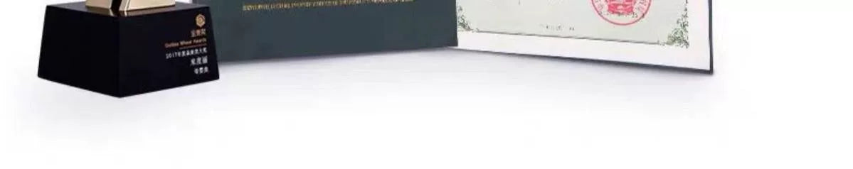 Pregnant Women's Shorts Spring and Summer Thin Leggings Outer Wear Safety Pants Spring and Autumn Loose Fashion Casual Sports Pants Summer Wear