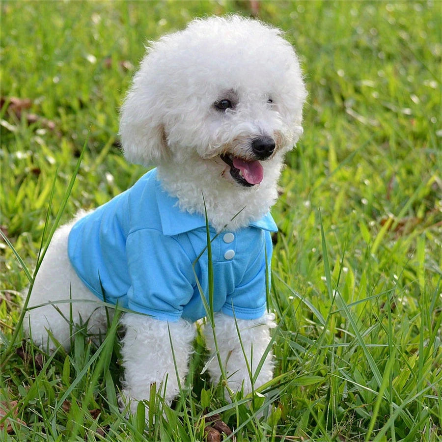Fashion Dog Clothes for Teddy Small Dogs, Spring Summer Autumn Vest T-shirt Polo Shirt  Cute Dog Clothes for Small Breeds, Cotto