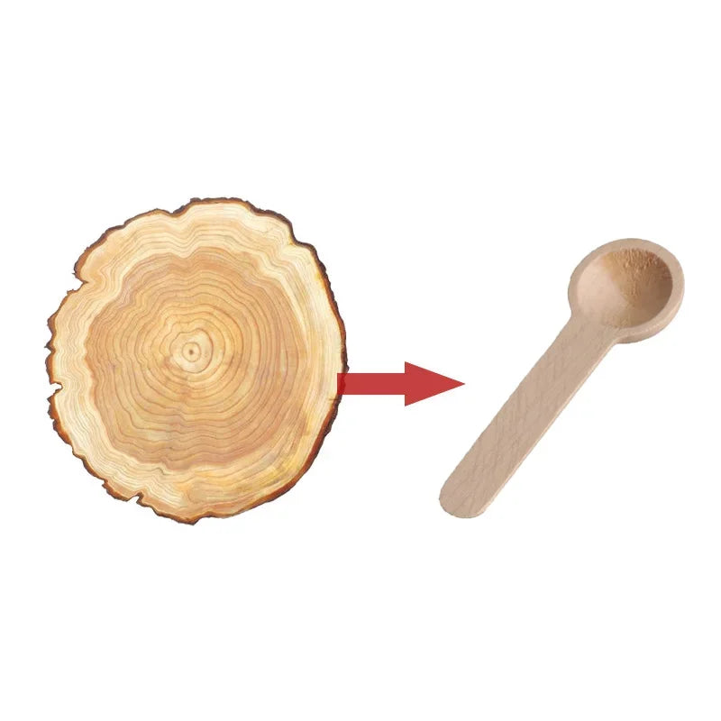 10Pcs Mini Wooden Spoons  Kitchen Seasoning Honey Coffee Kitchen Cooking Coffee Bean Salt Spice Jars Wooden Measuring Spoons