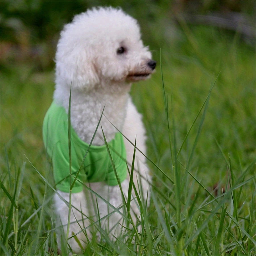 Fashion Dog Clothes for Teddy Small Dogs, Spring Summer Autumn Vest T-shirt Polo Shirt  Cute Dog Clothes for Small Breeds, Cotto