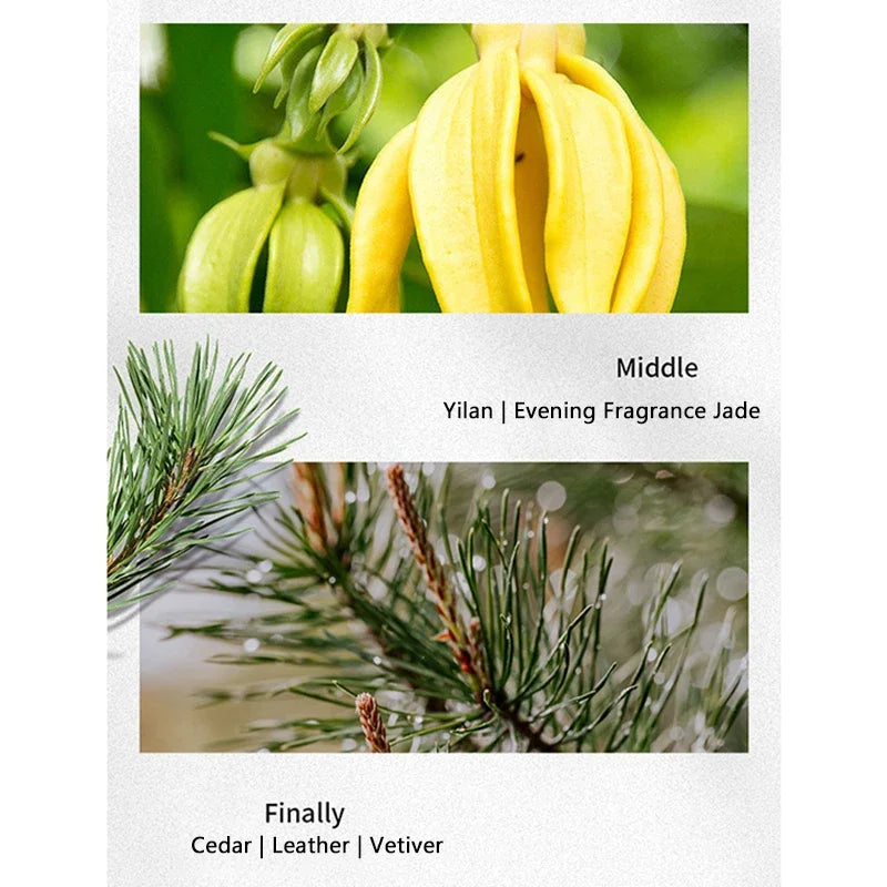 30/50ml Cologne Men Perfume Original Brand Perfume Spray Flirting Pheromone Long Lasting Irresistible Light Fragrance Gentleman