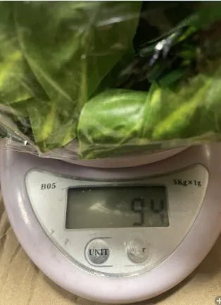 12PC Green Artificial Lvy Leaf Garland Plant Foliage Home Decor Rattan String Wall Decoration Fake Hanging Vine Leaf Plant Leave