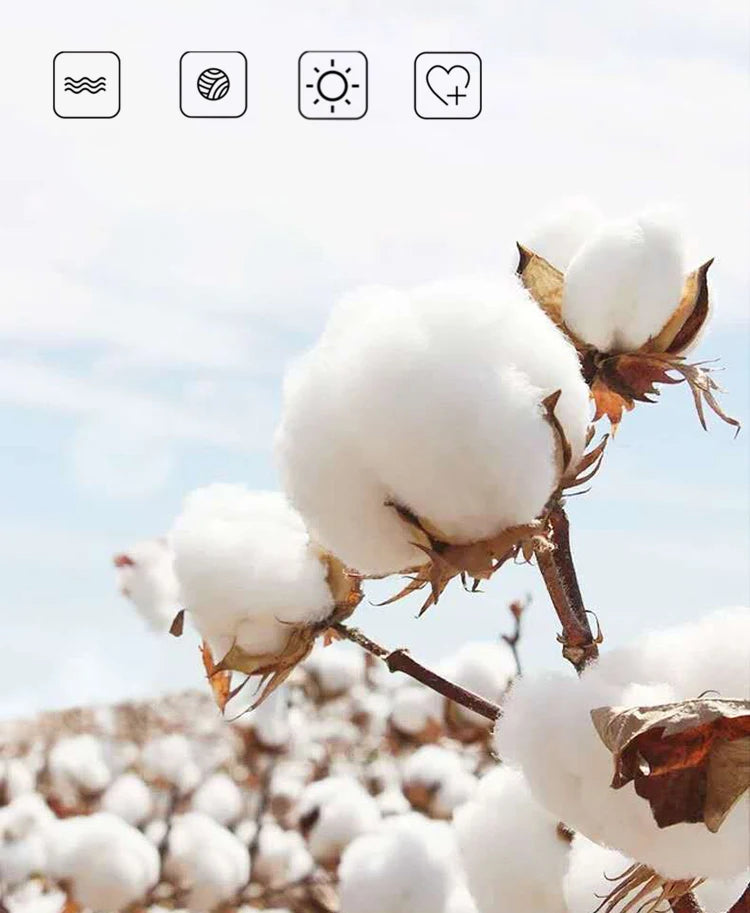 Cute Cow Print Socks for Women White Black Funny Cartoon Animals Sock Girls on Sale Fashion Casual Streetwear Skateboard