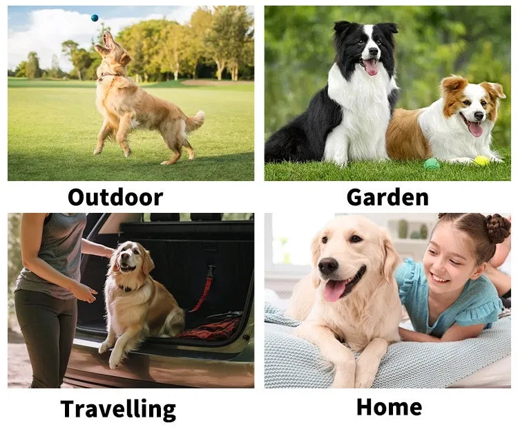 6pcs/bag Pet wash free gloves cats dogs bathing cleaning dry cleaning wipes gloves deodorizing wipes pet products