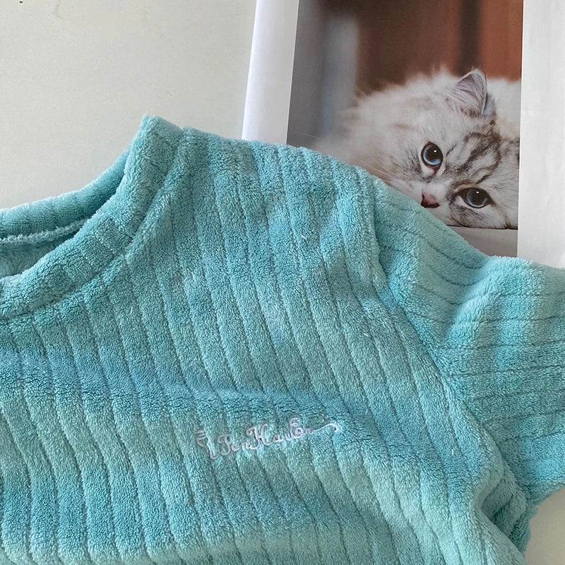 Autumn Women Solid Warm 2 Piece Sets Thicken Velvet Ribbed Fleece Set Pullover And Pants Women Casual Pajama Sets 2023