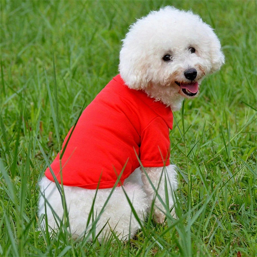 Fashion Dog Clothes for Teddy Small Dogs, Spring Summer Autumn Vest T-shirt Polo Shirt  Cute Dog Clothes for Small Breeds, Cotto