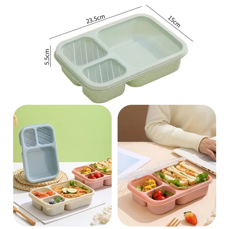 Lunch Box Reusable 3 Compartment Divided Bento Box Kid School Adult Office Food Storage Containers Outdoor Portable Plastic Box