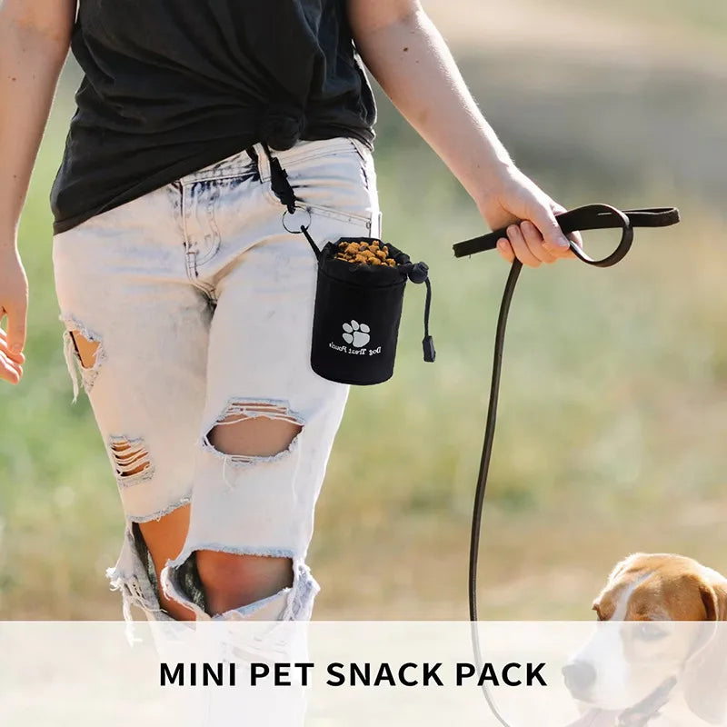 Pet Dog Puppy Training Treat Snack Pet Feed Pocket Pouch Multifunctional Pouch Food Crossbody Bag Pocket Dogwalking Waist Bag