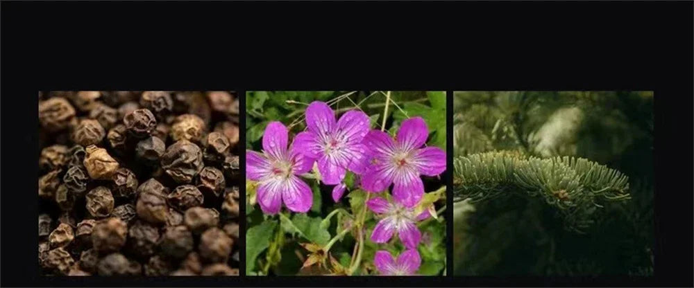 Luxury Brand Perfume Men Cologne Parfums Homme Gift Box 4Pcs Set 100ml Perfumes Masculinos Natural Floral Fruity Scent Spray