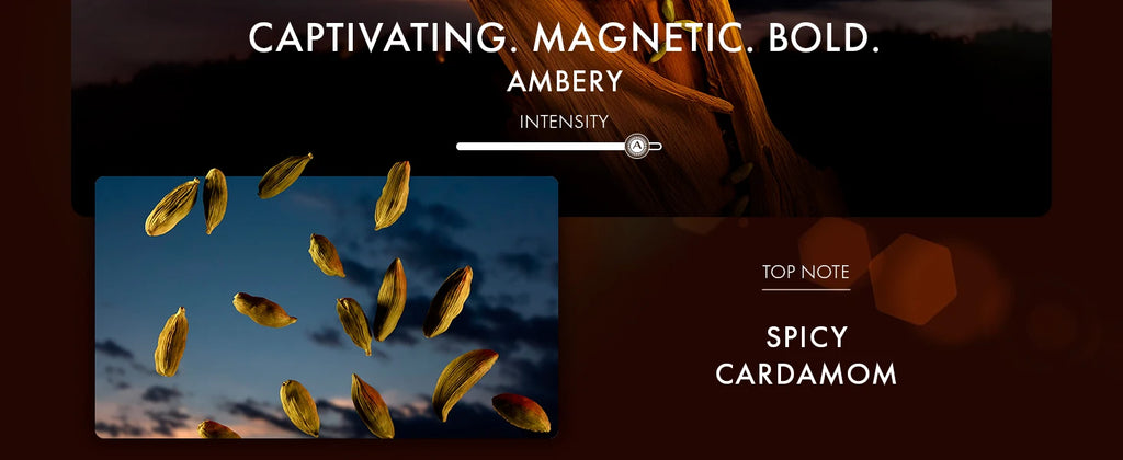 Azzaro Eau De Parfum Intense - Fougère, Ambery & Spicy Fragrance for Date Night - Lasting Wear - Luxury Perfumes for Men