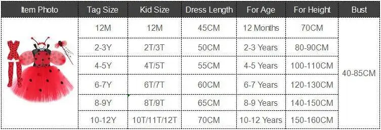 Black Red Lady Beetle Costumes for Baby Girls Ladybird Tutu Dress with Wings Kids Halloween Outfit Children Birthday Clothes