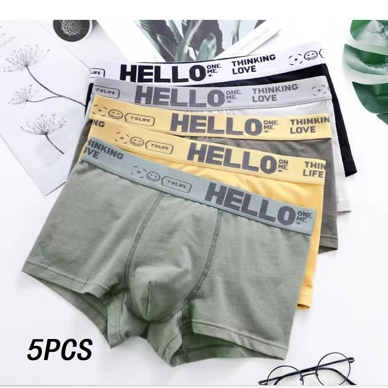 5-piece men's underwear, briefs, letters, breathable and comfortable set, multiple colors, L-4XL