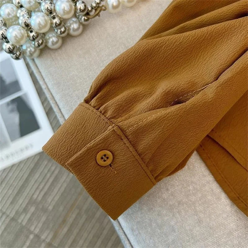 Ruffled Long Sleeved Shirt 2025 New Summer Autumn Chiffon Shirt Women's Blouse Lantern Sleeve Shirt Korean Popular Clothes ﻿